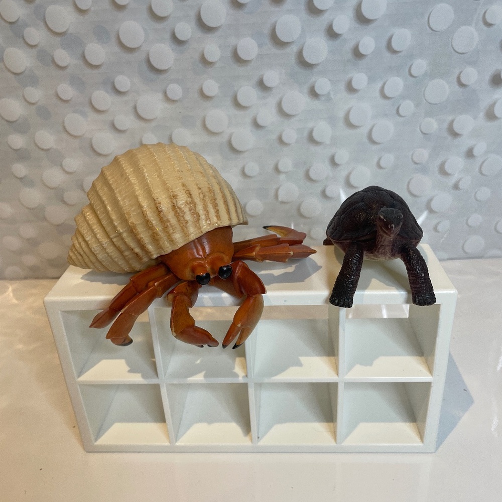 Safari life like Hermit Crab 🦀& Tortoise 🐢 figures
